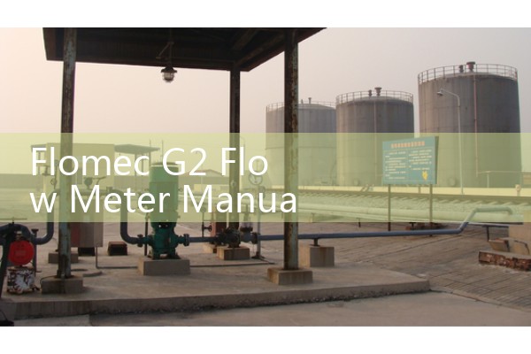 Flomec G2 Flow Meter Manual Download: Sizing and Electronic Digital Display Setup